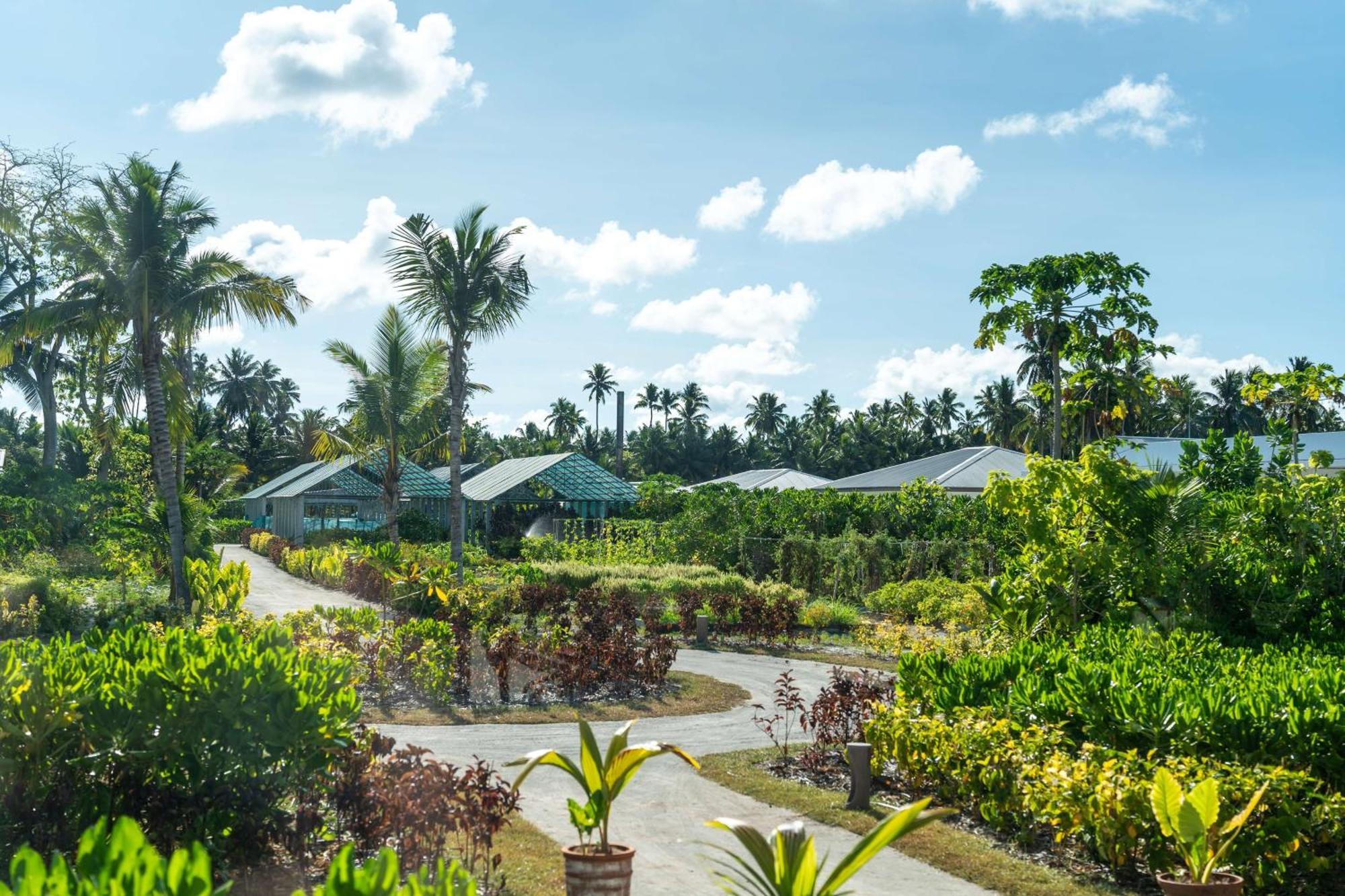 Waldorf Astoria Seychelles Platte Island Hotell Exteriör bild
